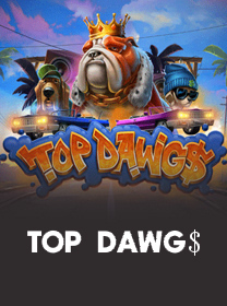 Panduan Bermain Top Dawg untuk Pemula Lengkap banner